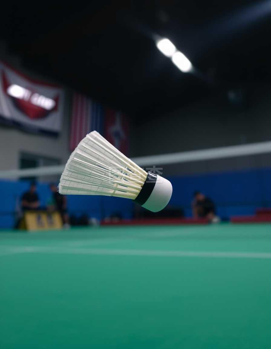 他便以积极 他便以积极