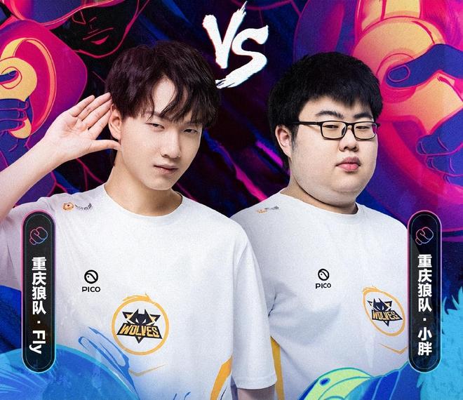 仅有展示企 仅有展示企